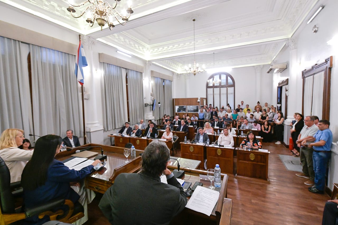 El Senado convirtió en ley la reglamentación del artículo 60 de la Constitución