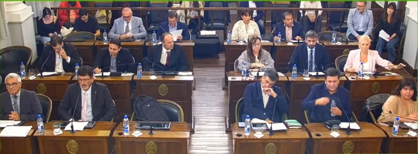 El Senado aprobó la creación de un Régimen de Licencias por Adopción