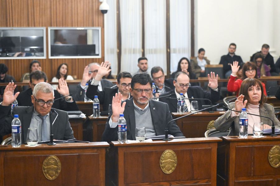 El Senado prestó acuerdo para los cargos de presidente y vocales del CGE