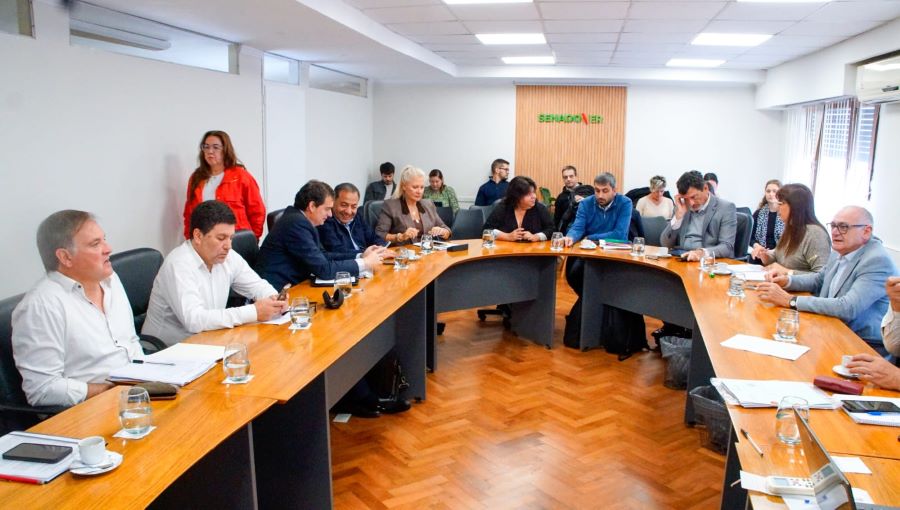 Salud mental: Rafael Cavagna participó del debate por una posible emergencia en Entre Ríos
